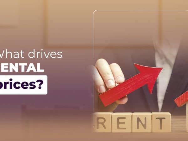 Today we show you what drives rental prices