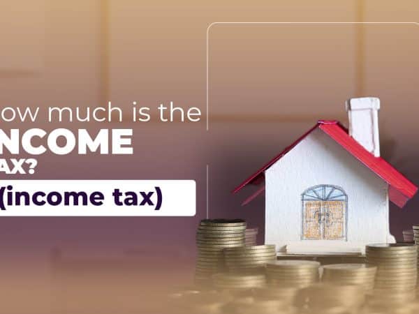 How much is the income tax?