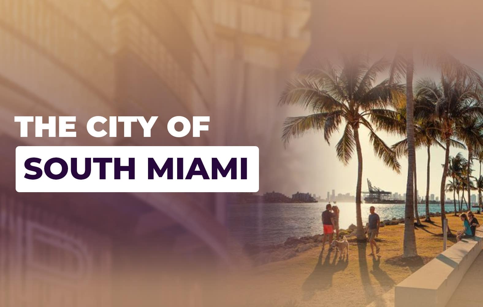 Get to know South Miami